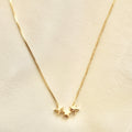 Collar Pilar